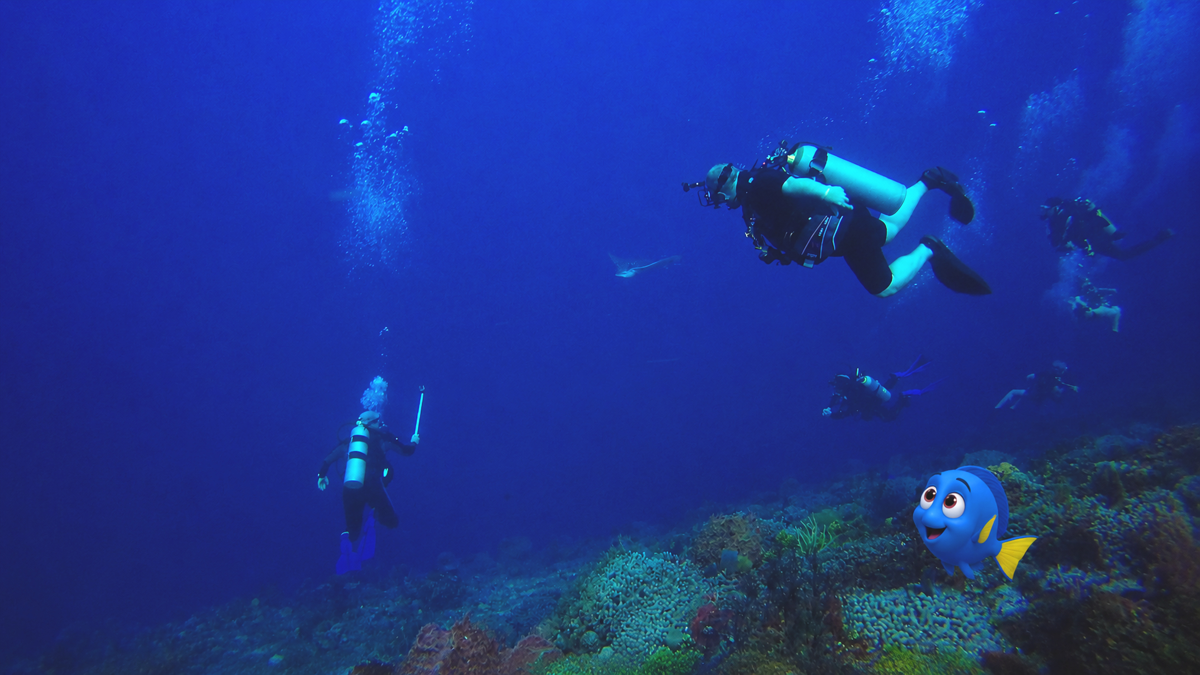 Blu watching several scuba divers move carefully above a coral reef