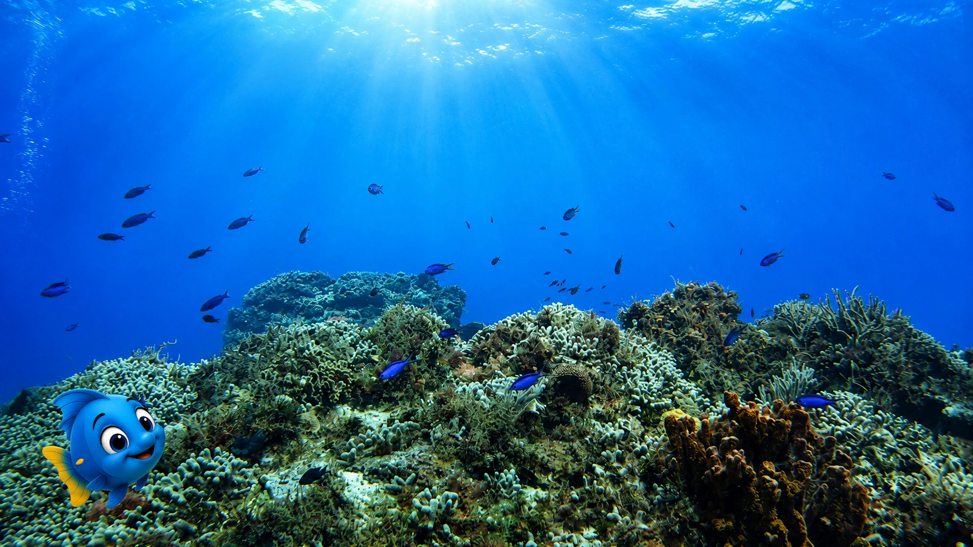 Blu inviting everyone to follow a hidden path through the coral reef