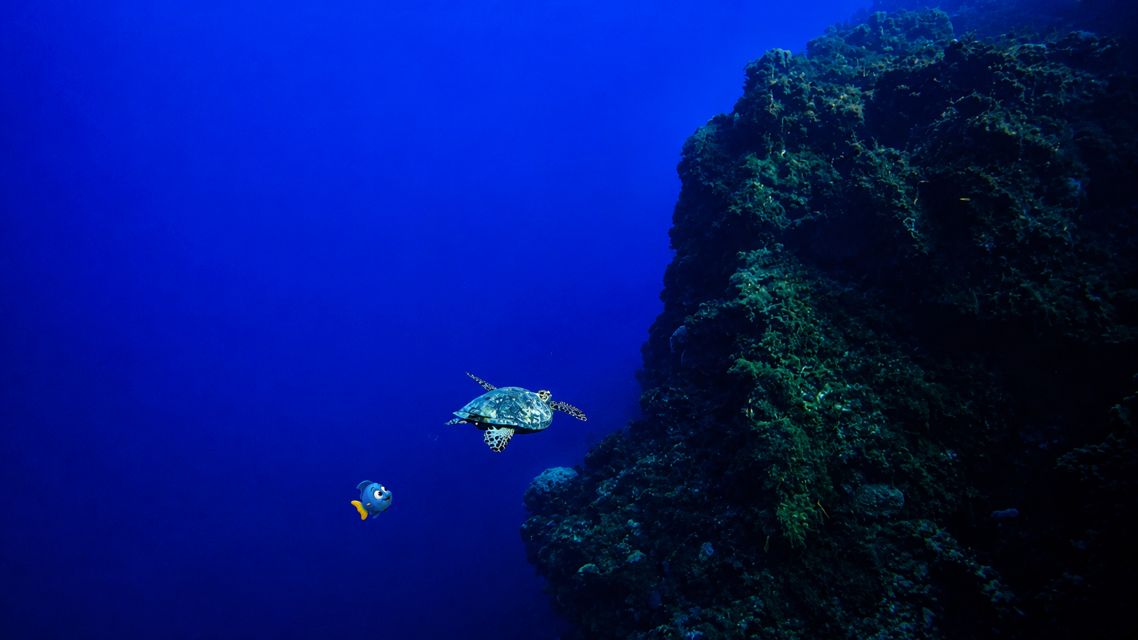 Blu following a sea turtle beside a tall reef wall in deep blue water