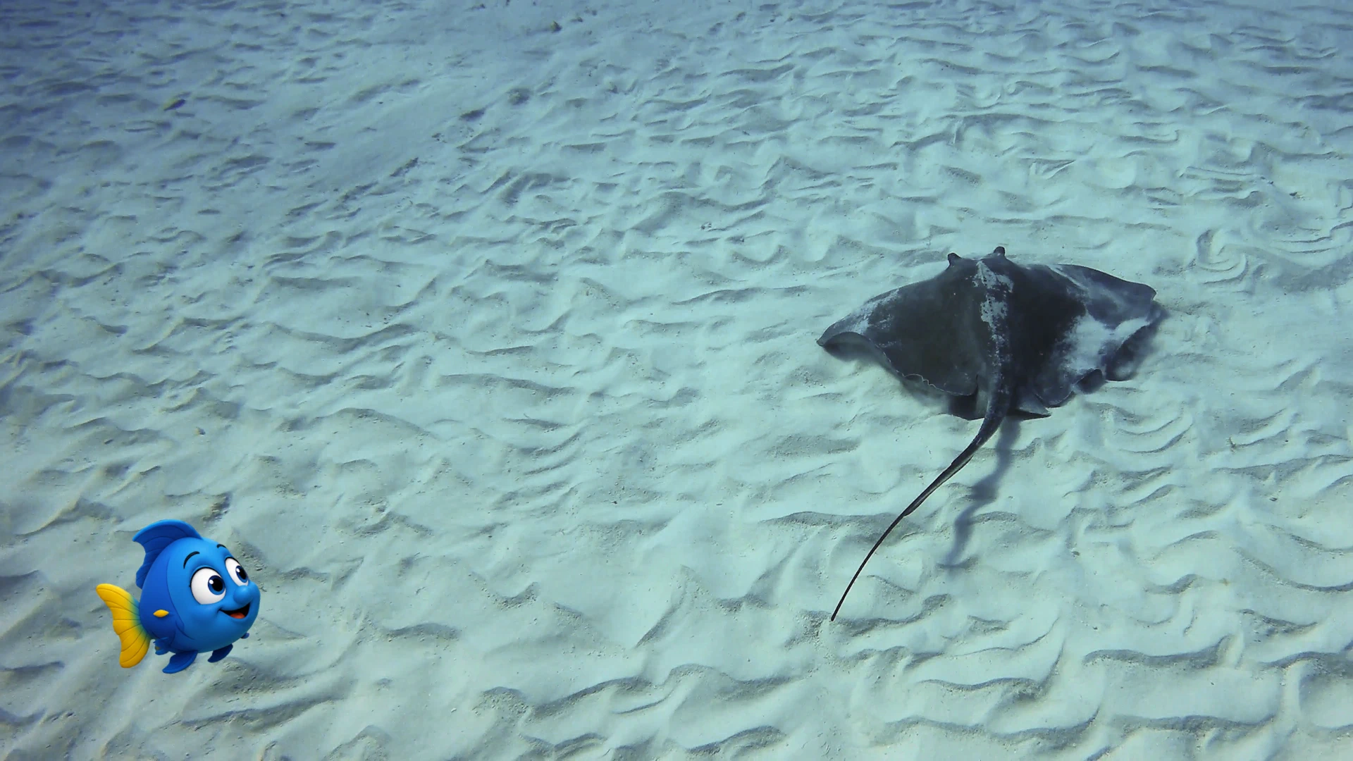 Blu discovers a Stingray hiding under the sand