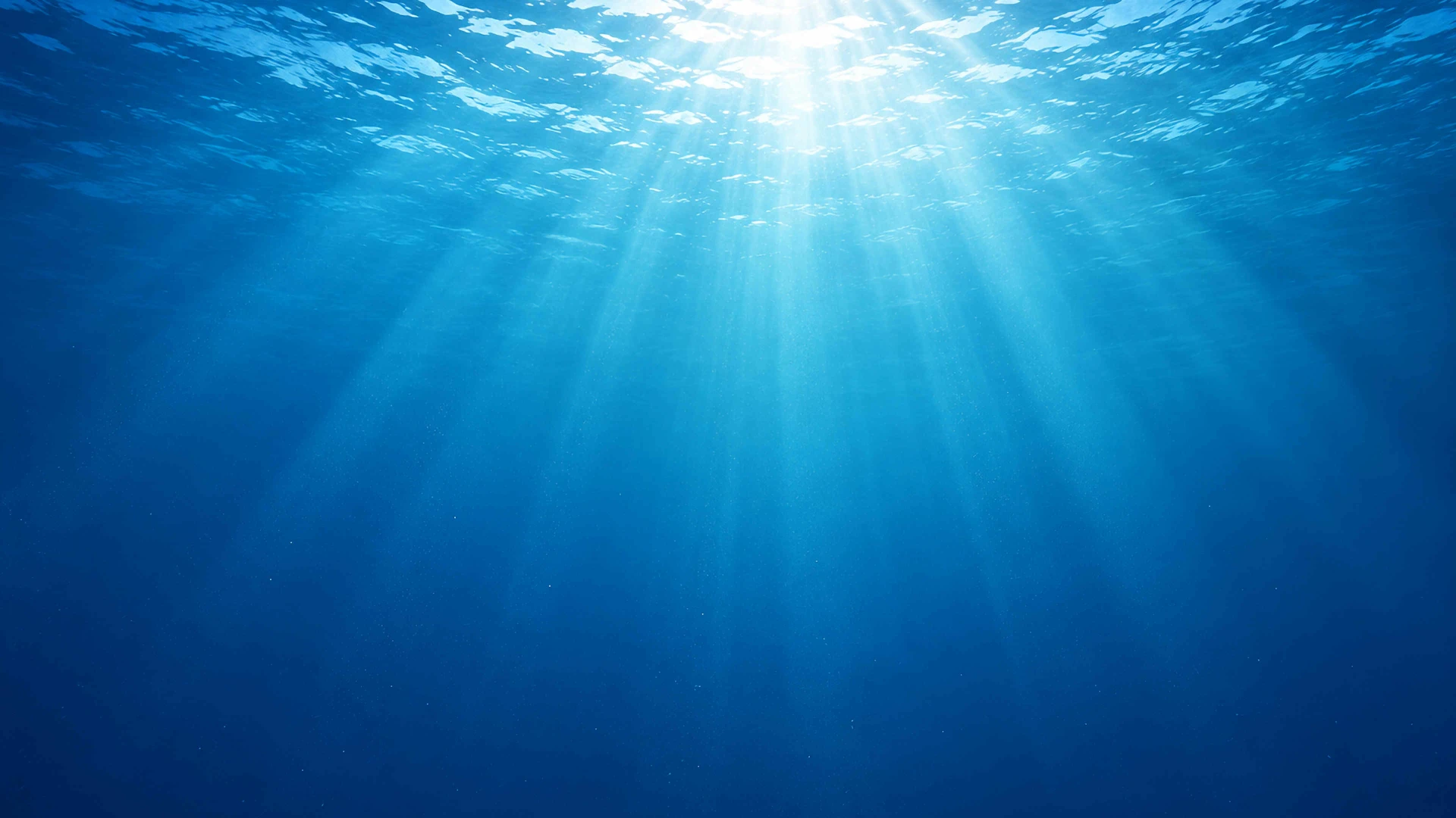 A glimpse of a future underwater adventure