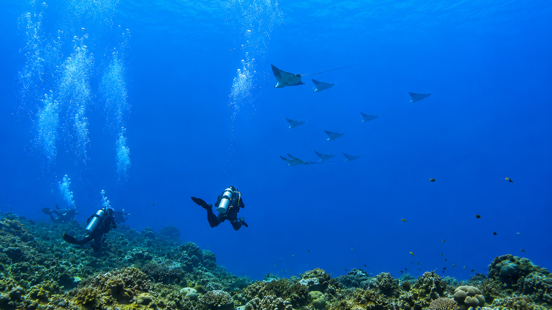 Cantarell Wall in Cozumel