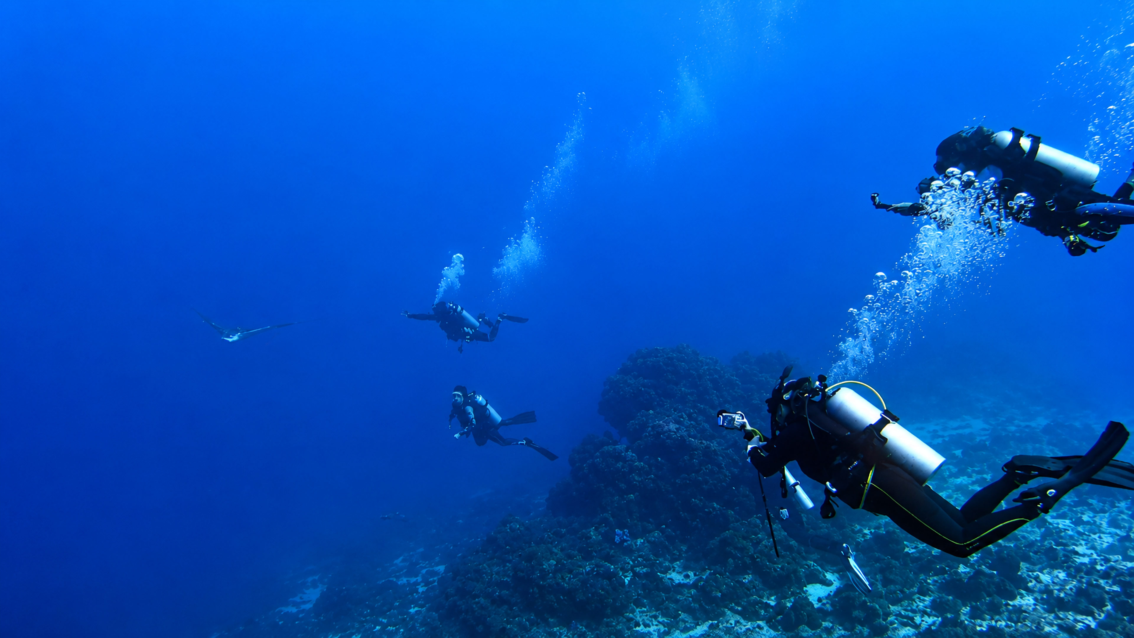 Monthly Dive The Blue chapter image