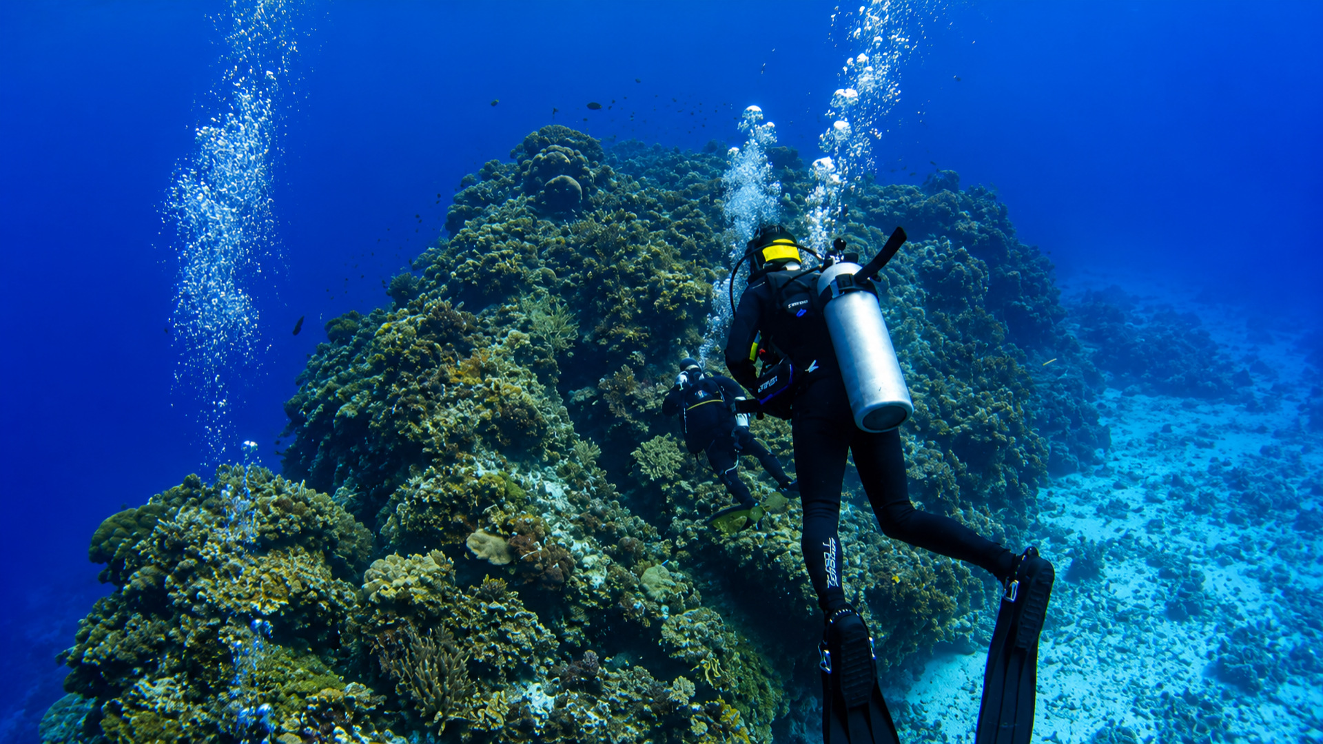 Colombia Deep reef in Cozumel