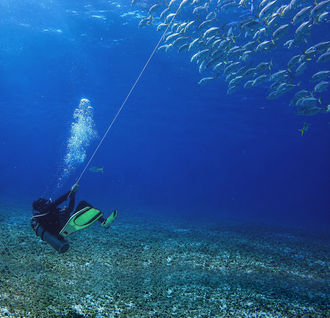 Underwater Gallery Image