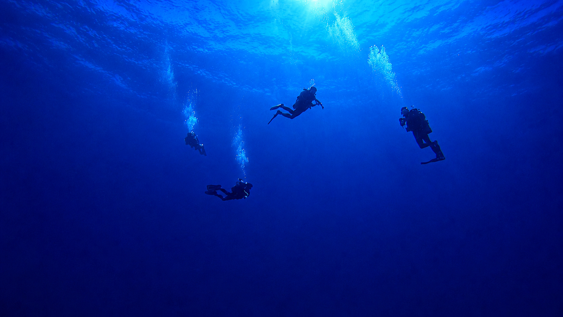 Scuba divers suspended in open blue water