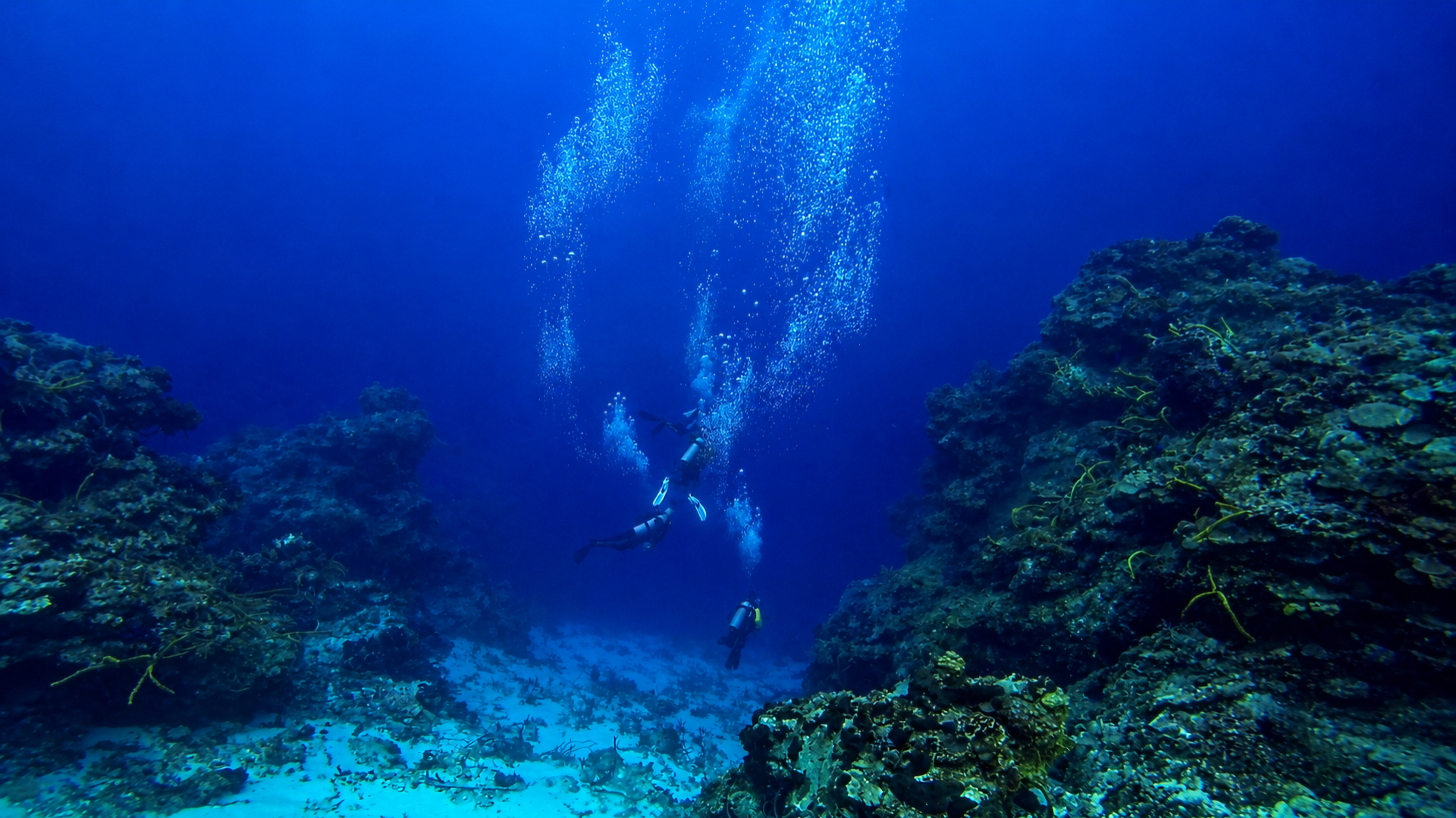 Diver silhouette drifting above a Cozumel reef