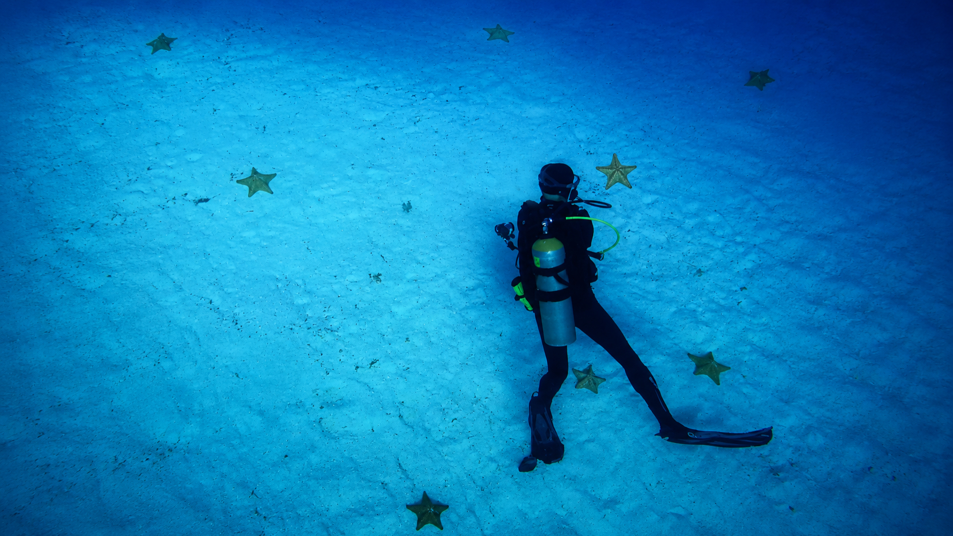Scuba divers exploring a colorful reef scene