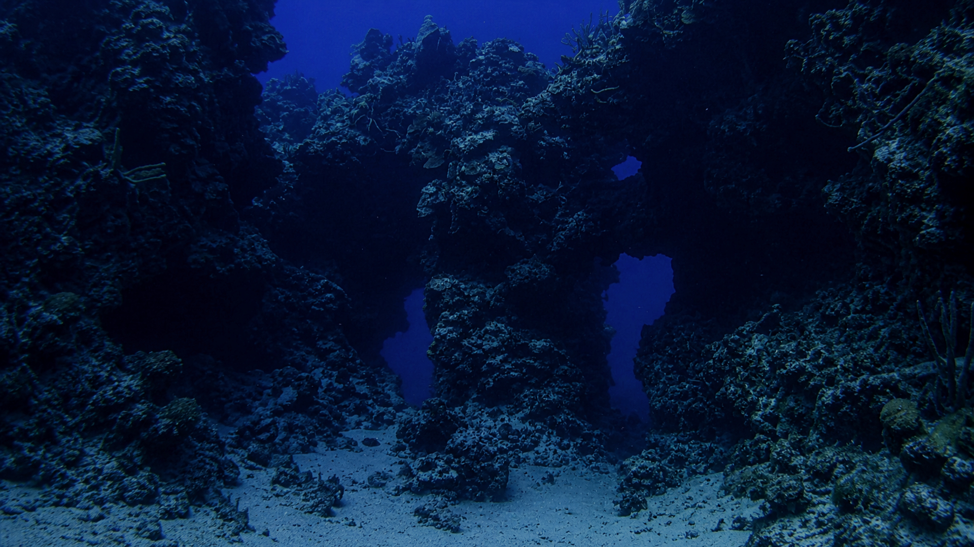 Wide underwater view with divers and open blue water