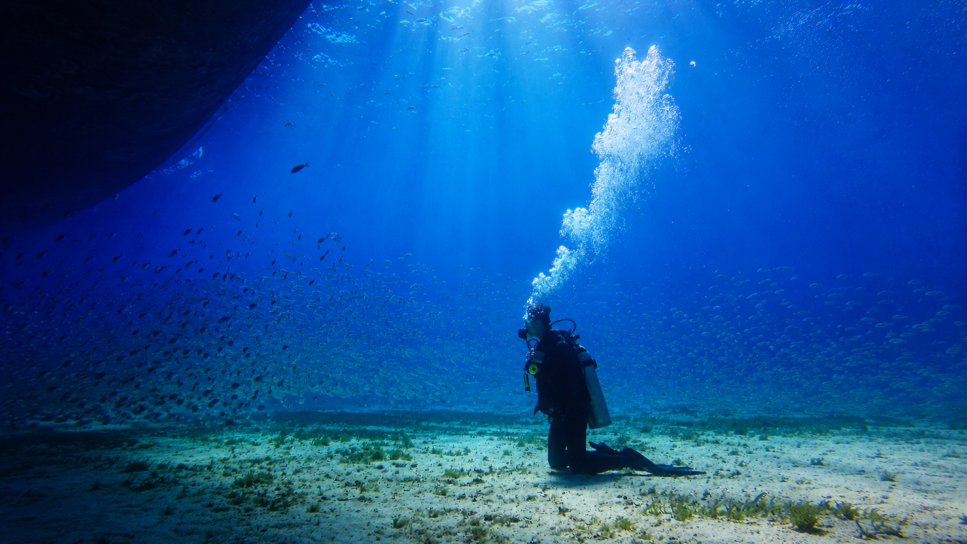 Quiet scuba diving moment beneath the surface
