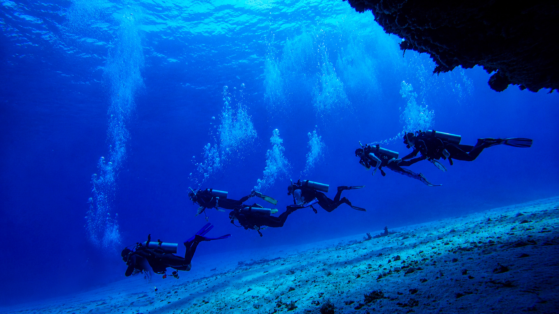 Scuba divers beneath the surface in blue water