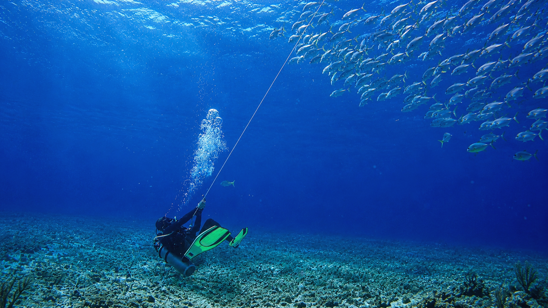 Scuba divers suspended in deep blue Cozumel water