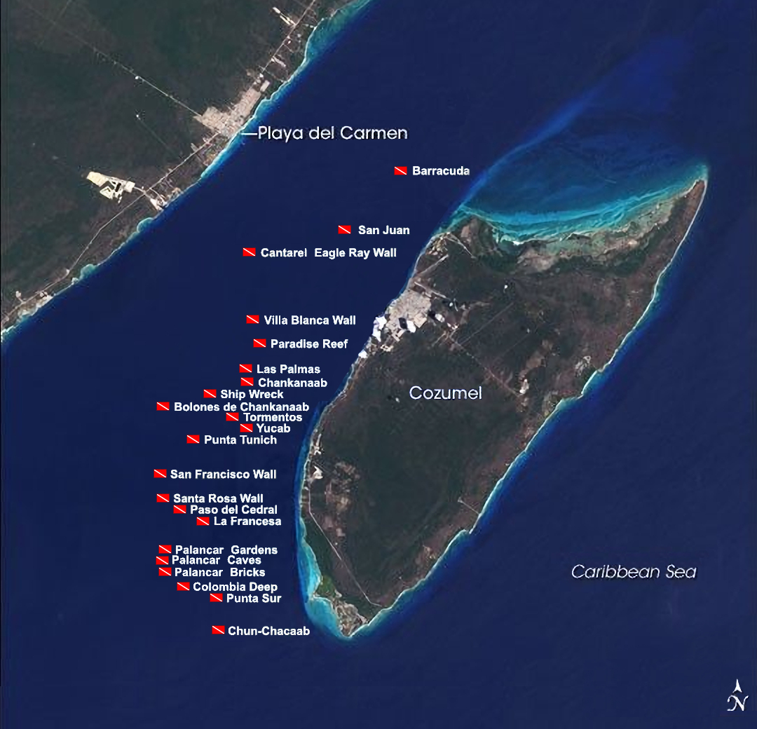 Cozumel Diving