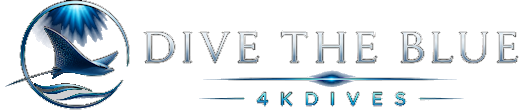 Dive The Blue 4K Dives