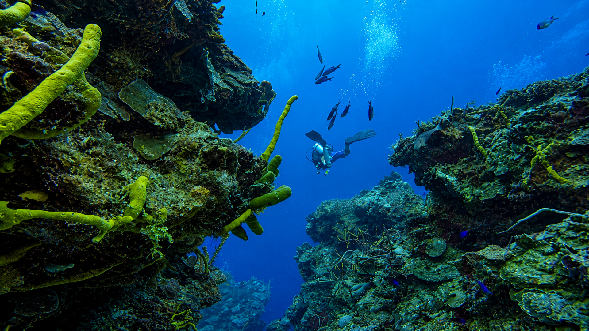 Blue water above a Cozumel reef landscape