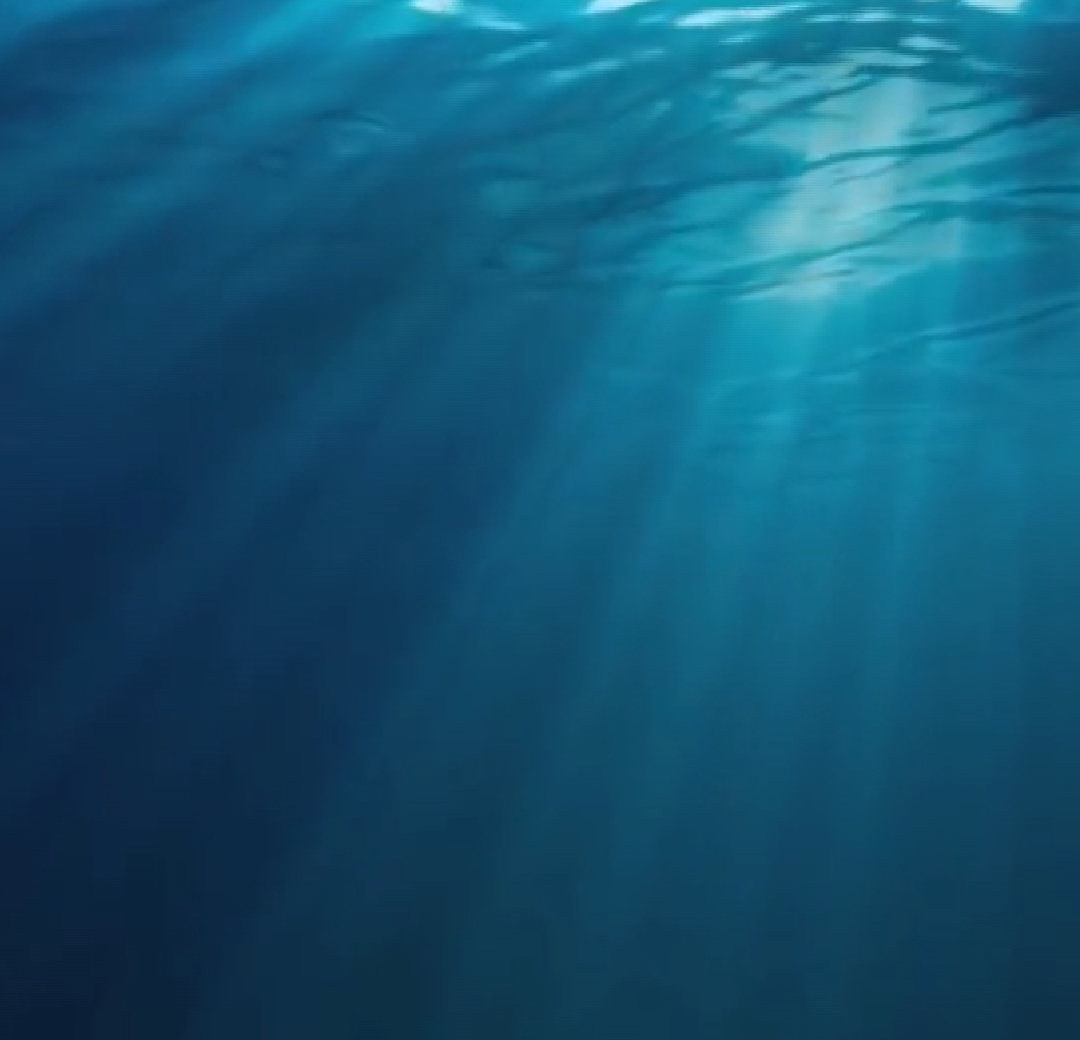 Underwater Gallery Image