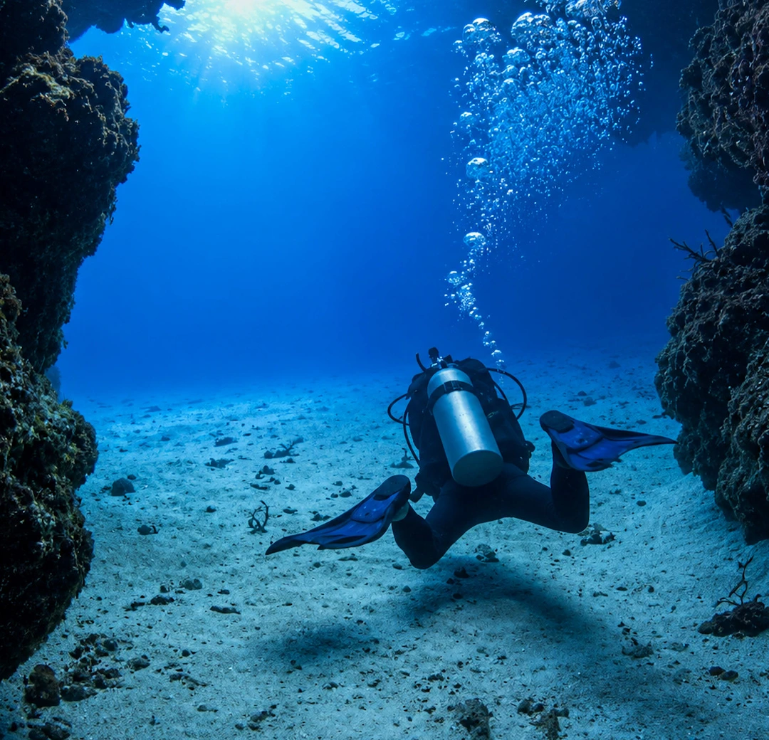Palancar Reef